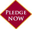 Pledge Now